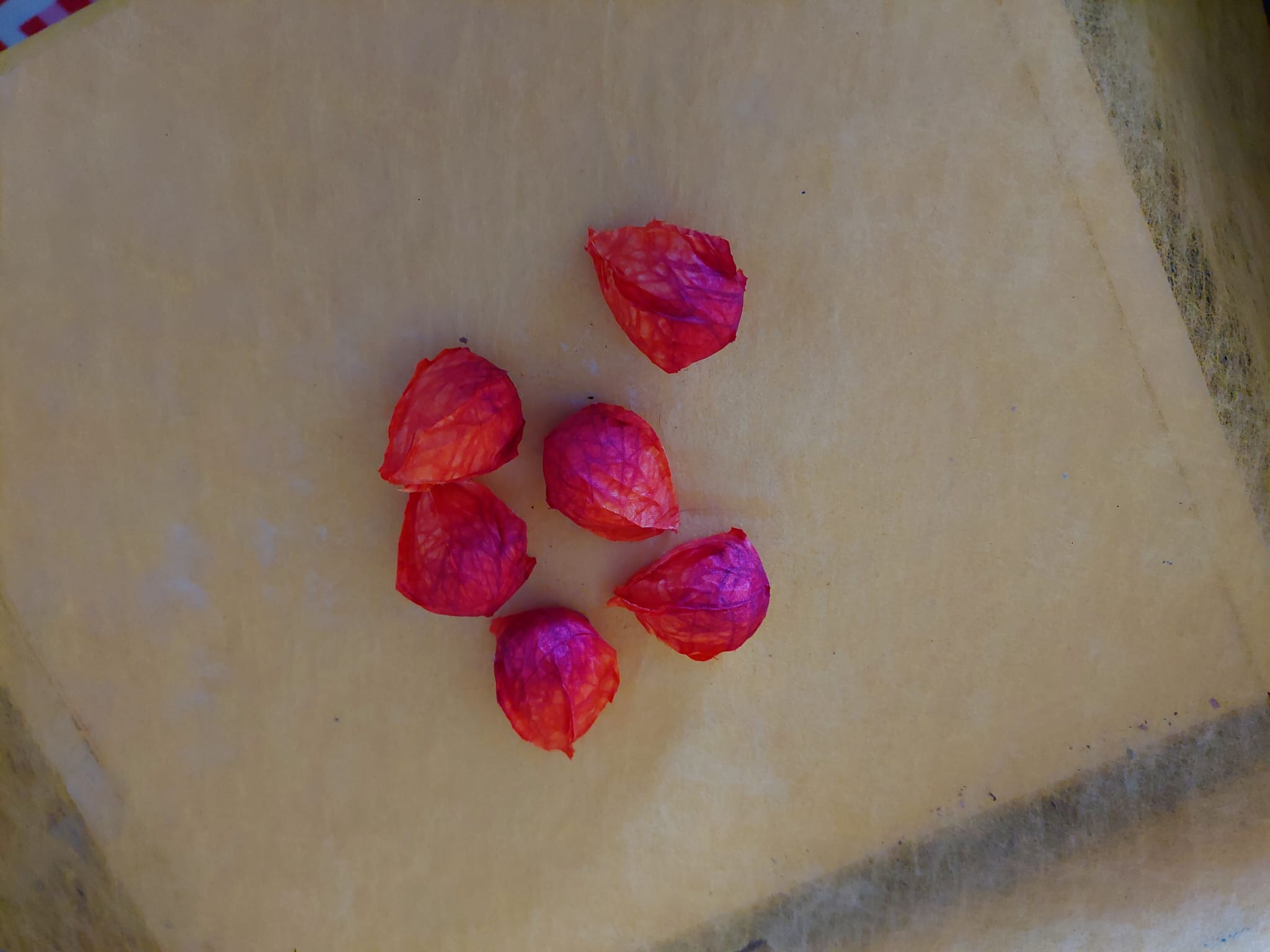 Deko - Physallis - Mein Stil - Floristik Dekorationen und Handarbeit