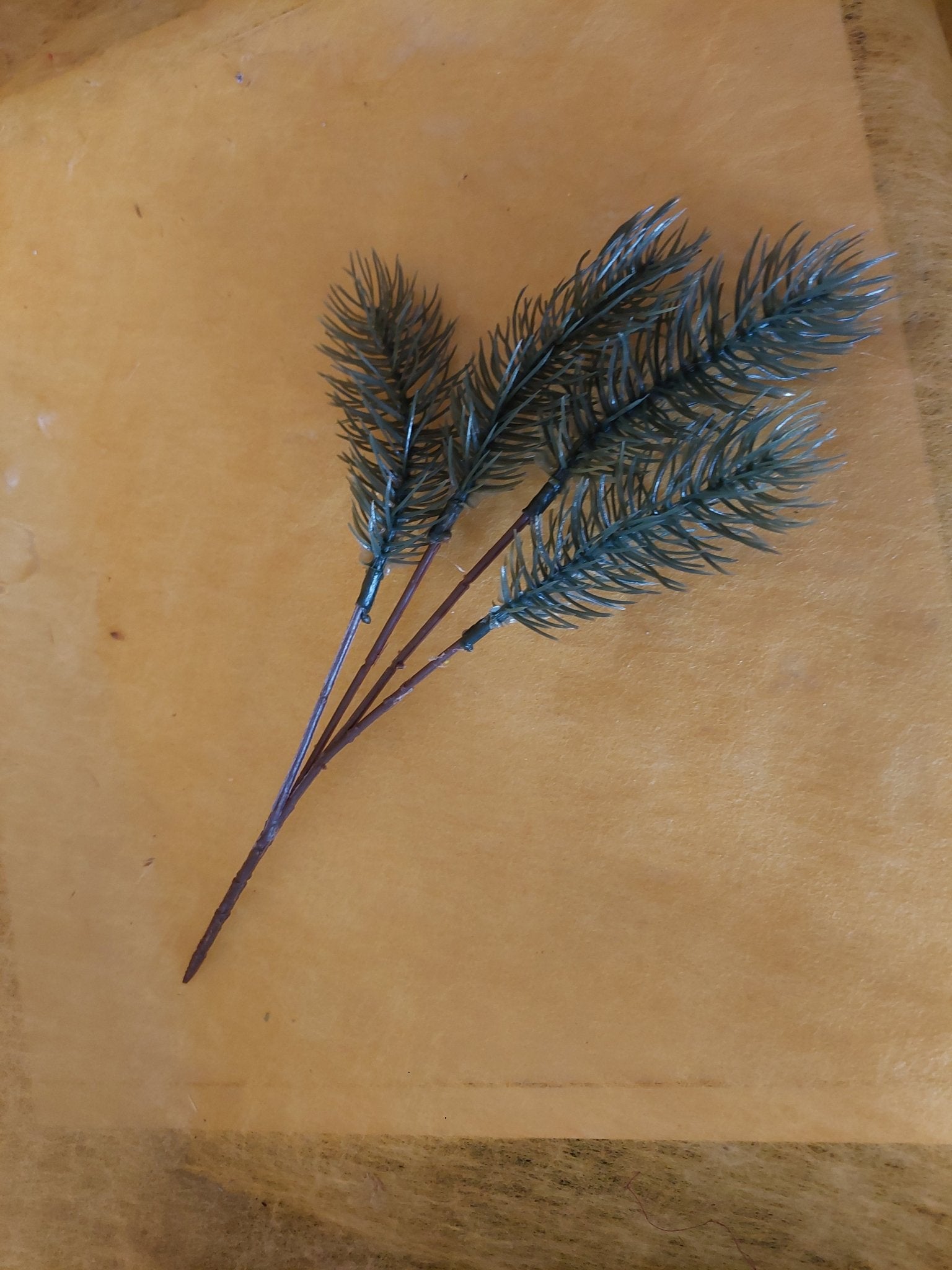 Deko - Tannenzweig - Mein Stil - Floristik Dekorationen und Handarbeit