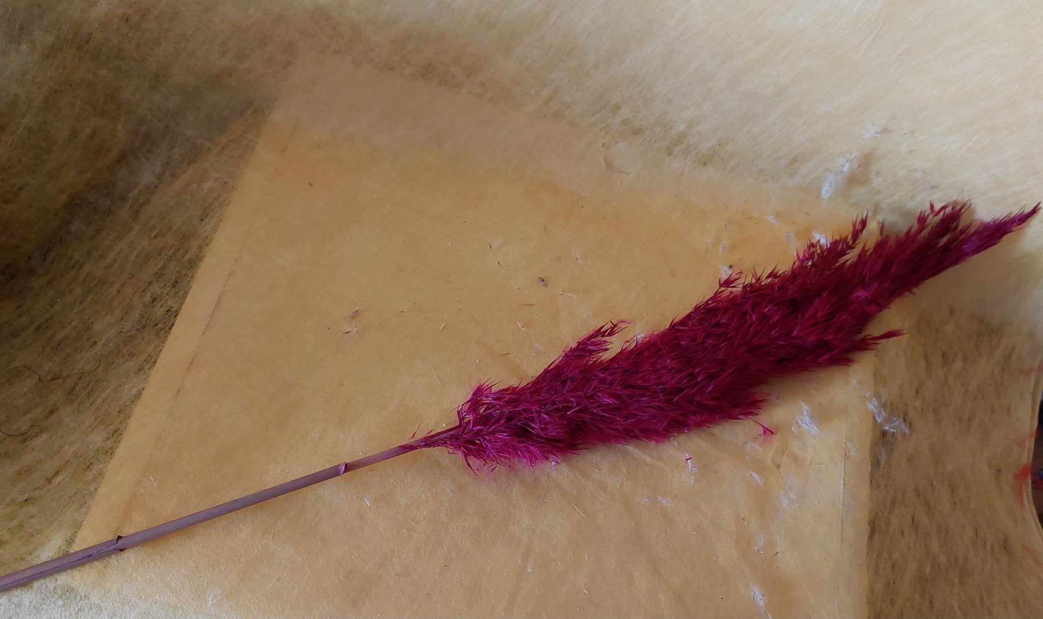 Deko - Wildgras getrocknet 75 cm Länge - Mein Stil - Floristik Dekorationen und Handarbeit