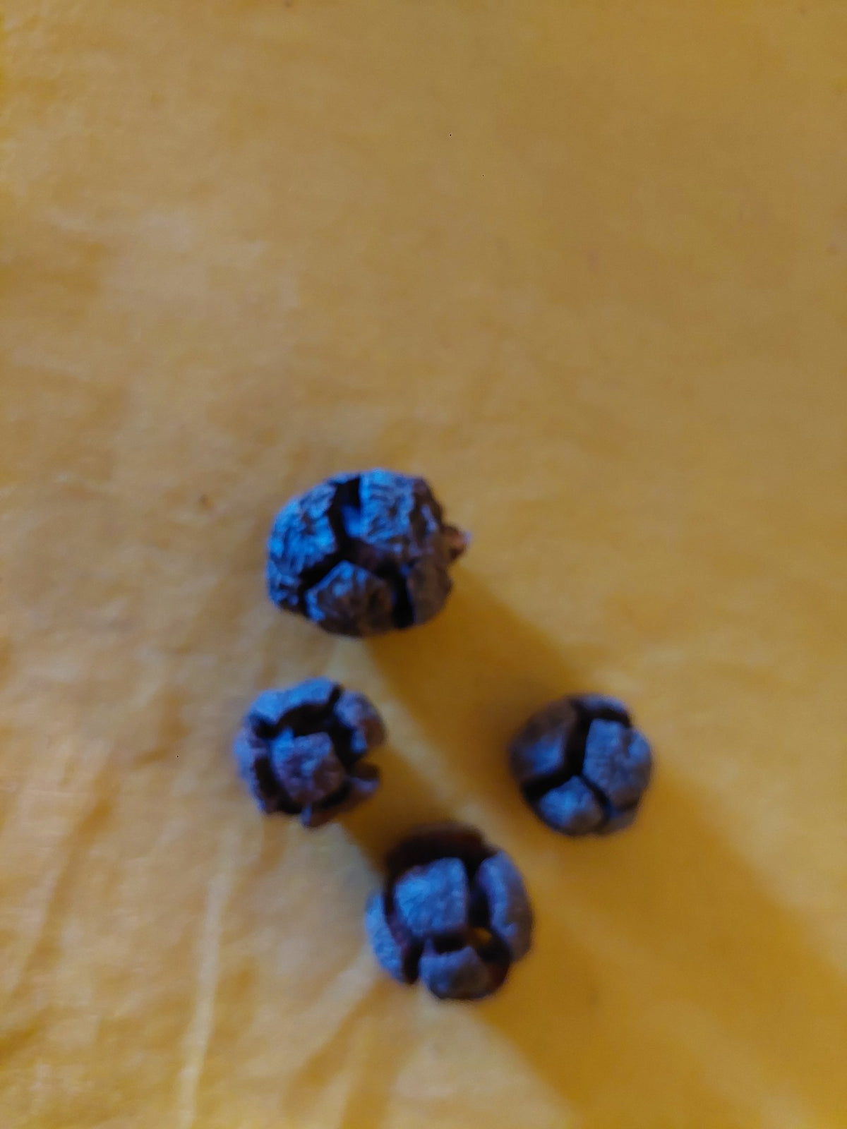 "Deko" - Zypressenzapfen im 10er Pack - Mein Stil - Floristik Dekorationen und Handarbeit