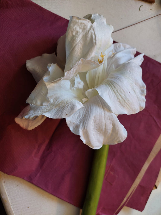 Seidenblumen "Amaryllis " - Mein Stil - Floristik Dekorationen und Handarbeit